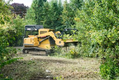 Forestry Clearing in Atlanta, GA