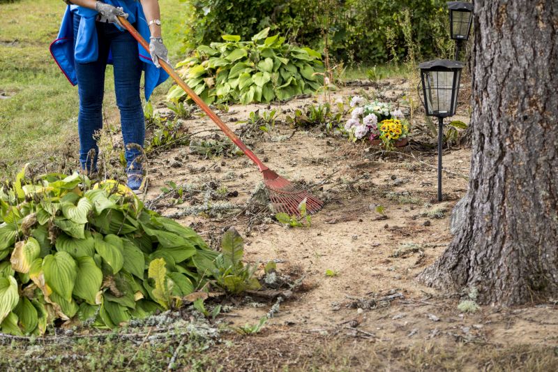 Property Line Clearing in Houston, TX