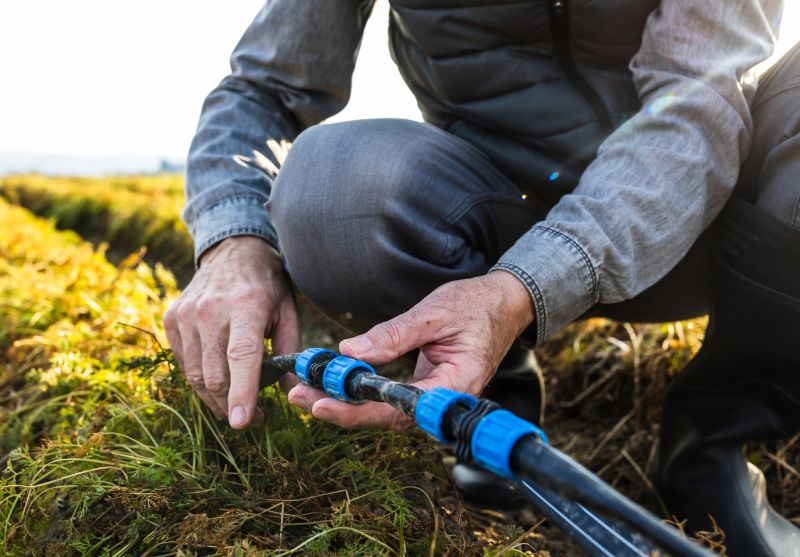 Avoid Winter and Rainy Seasons